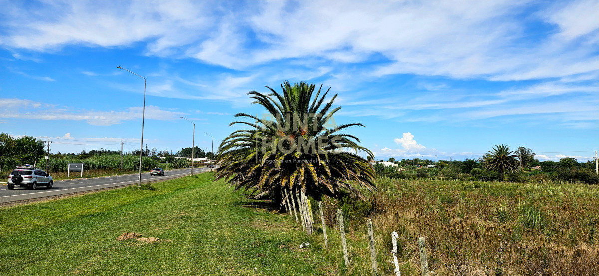 Terreno ID.3823 - Terreno en Venta en Rocha  Ubicación Estratégica en Ruta 9