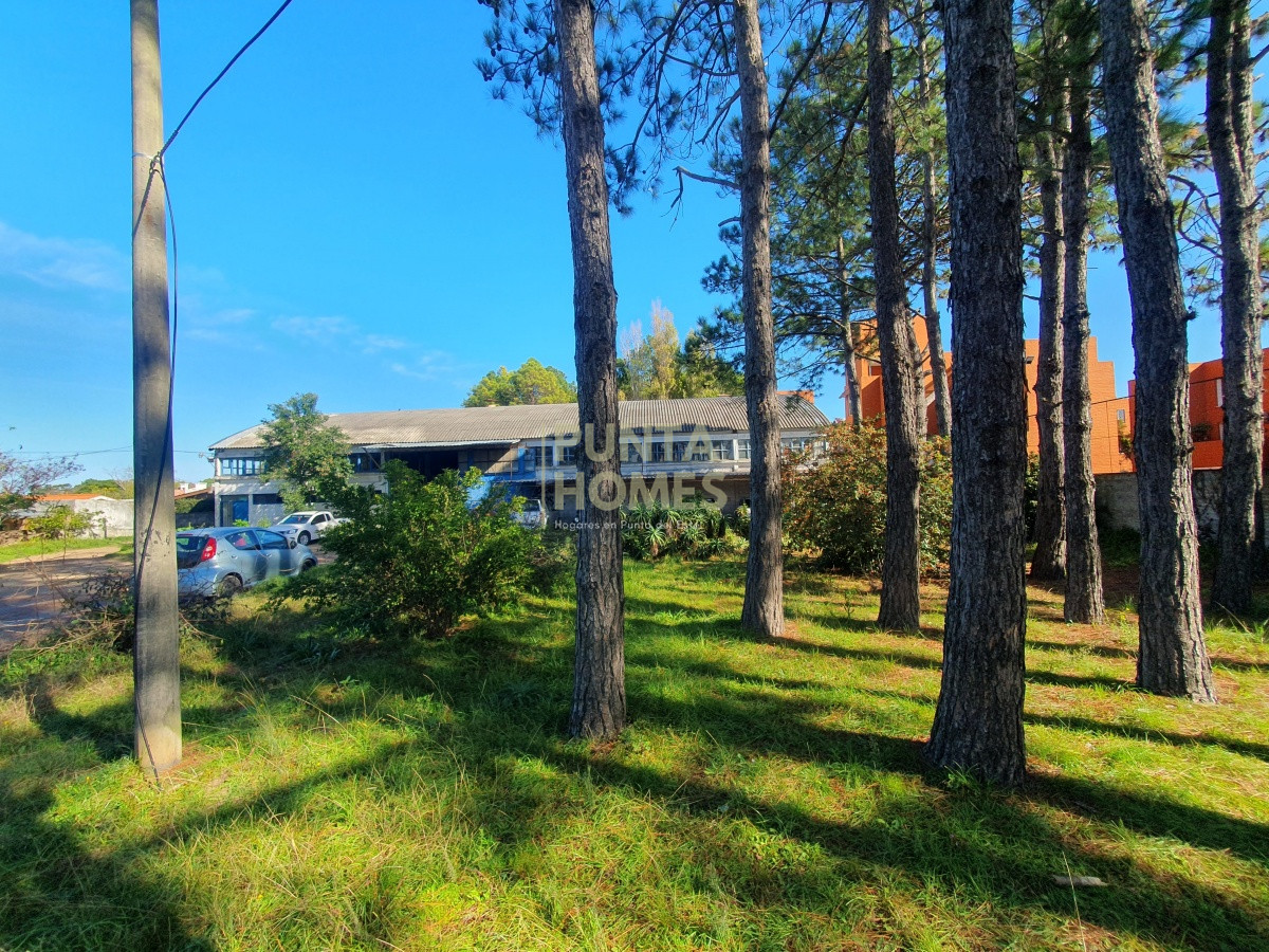 Terreno ID.1687 - Venta de Terreno de 6100 m2 con mejoras en Maldonado.