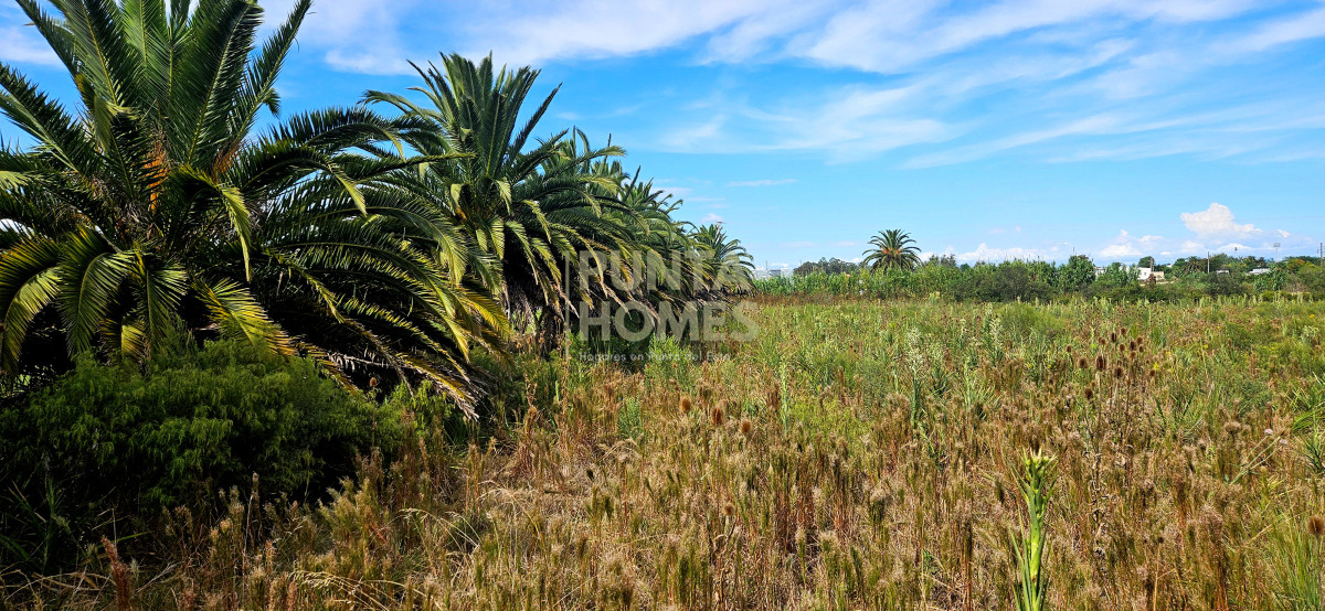 Terreno ID.3823 - Terreno en Venta en Rocha  Ubicación Estratégica en Ruta 9