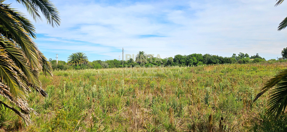 Terreno ID.3823 - Terreno en Venta en Rocha  Ubicación Estratégica en Ruta 9
