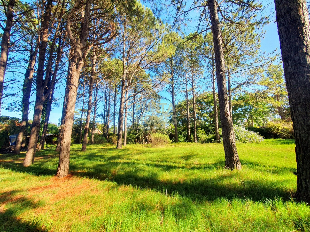 Terreno ID.1687 - Venta de Terreno de 6100 m2 con mejoras en Maldonado.