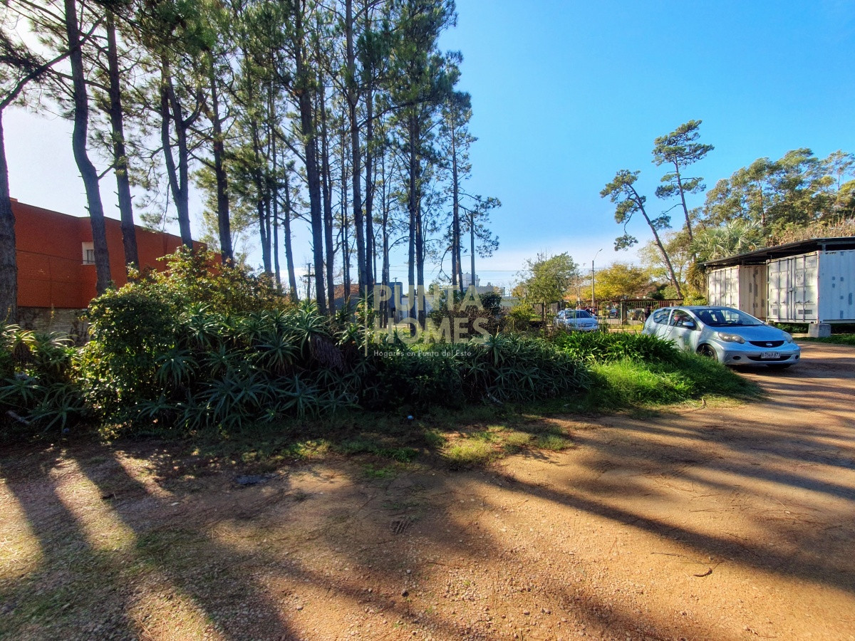 Terreno ID.1687 - Venta de Terreno de 6100 m2 con mejoras en Maldonado.