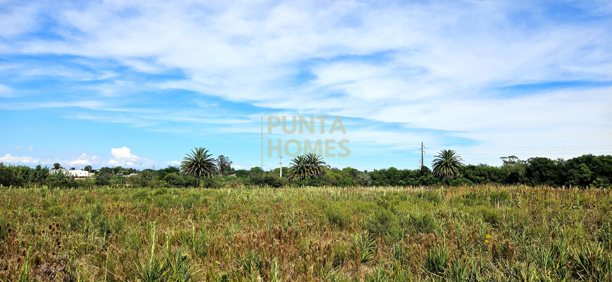 Terreno ID.3823 - Terreno en Venta en Rocha  Ubicación Estratégica en Ruta 9