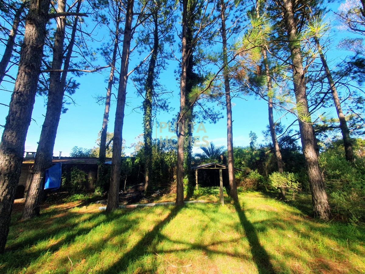 Terreno ID.1687 - Venta de Terreno de 6100 m2 con mejoras en Maldonado.