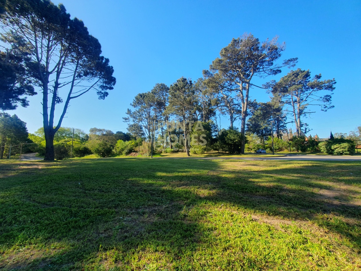 Terreno ID.3789 - Venta de Terreno de 2282 m2 en Avenida Pedragosa Sierra. Punta del Este.