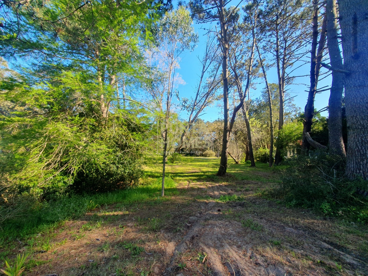 Terreno ID.3789 - Venta de Terreno de 2282 m2 en Avenida Pedragosa Sierra. Punta del Este.
