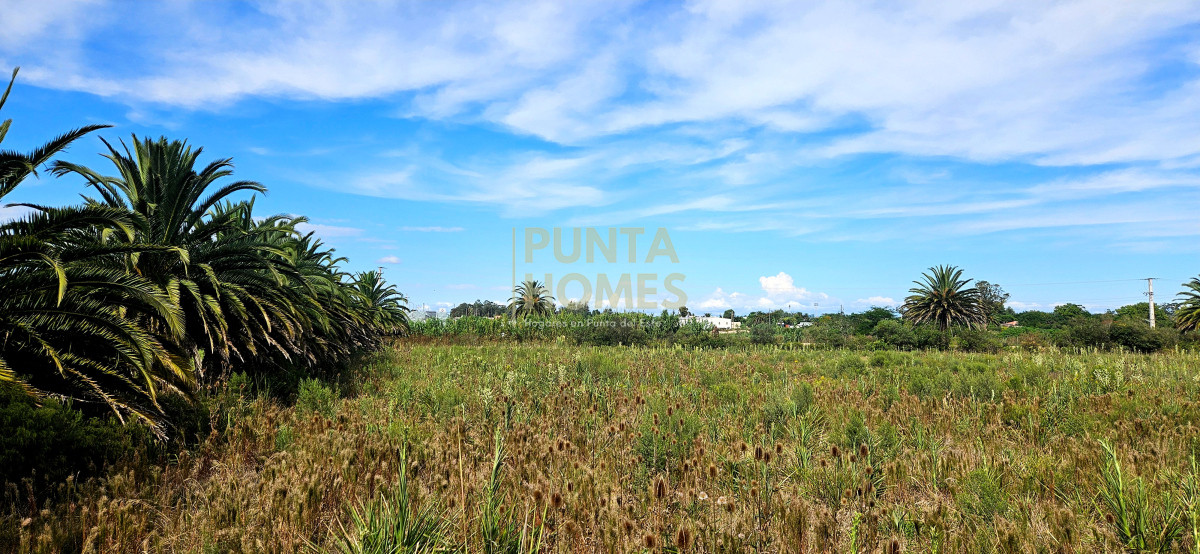 Terreno ID.3823 - Terreno en Venta en Rocha  Ubicación Estratégica en Ruta 9