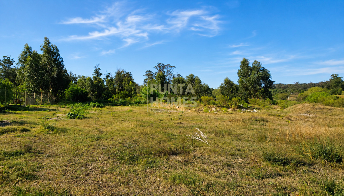 Punta Homes Inmobiliaria Terreno ID.3905 - Venta de terrenos desde 1100 m2 en Barrio Golf de Punta del Este.