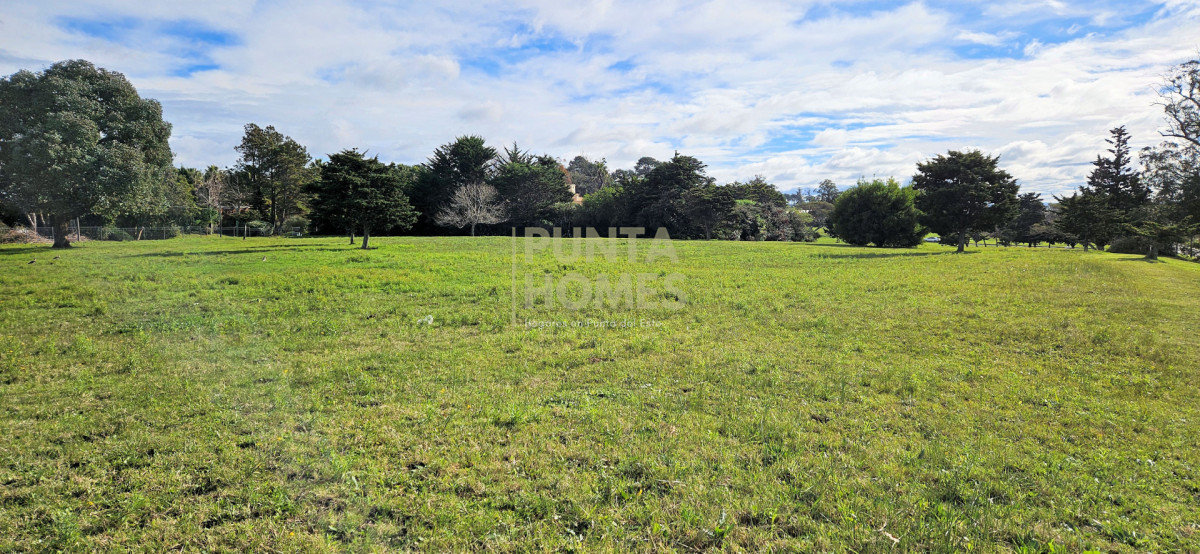 Terreno ID.3933 - Venta de 3 terrenos en Pedragosa Sierra, Punta del Este