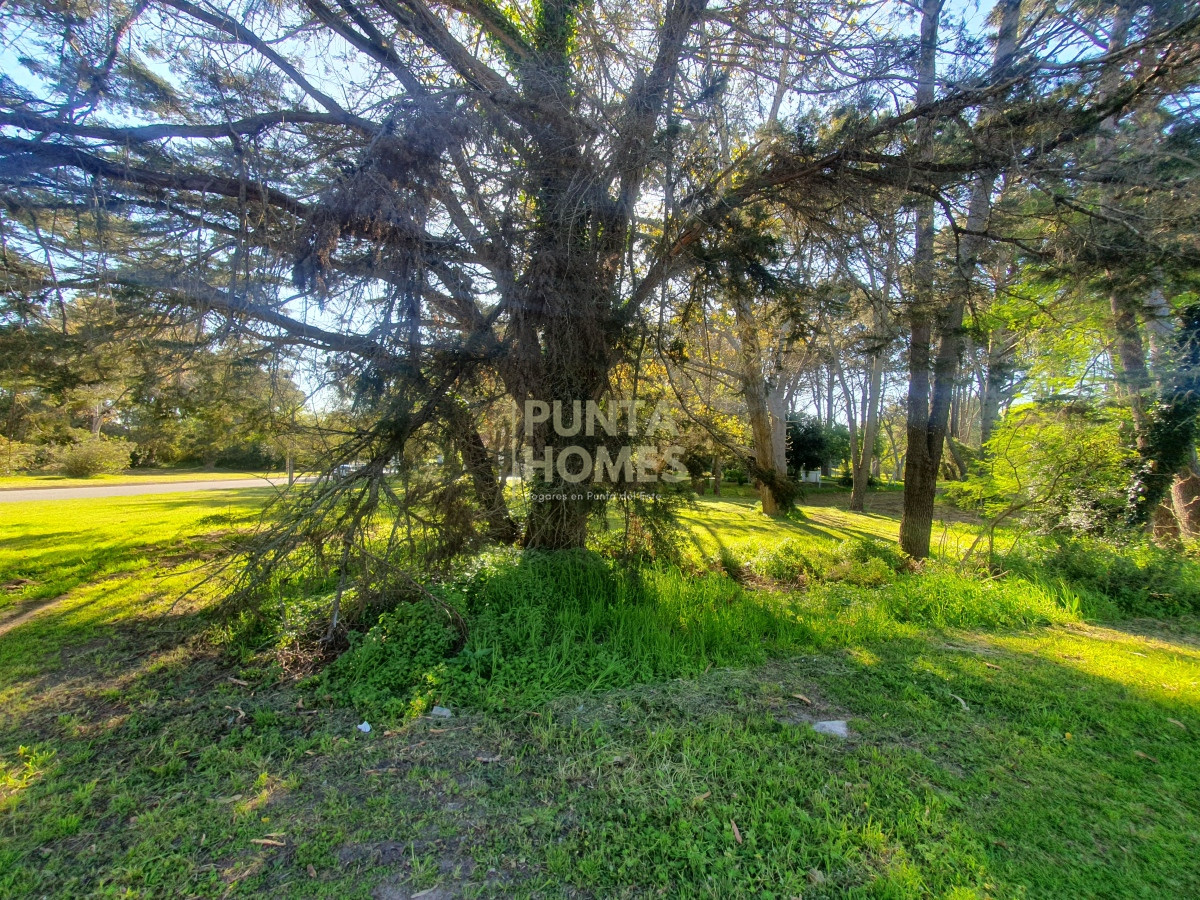 Terreno ID.3789 - Venta de Terreno de 2282 m2 en Avenida Pedragosa Sierra. Punta del Este.