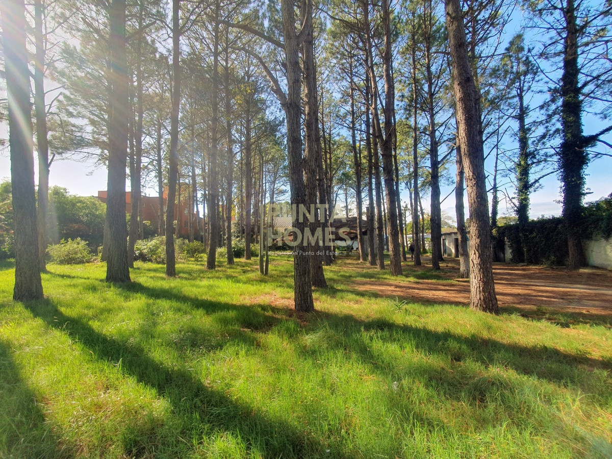Terreno ID.1687 - Venta de Terreno de 6100 m2 con mejoras en Maldonado.
