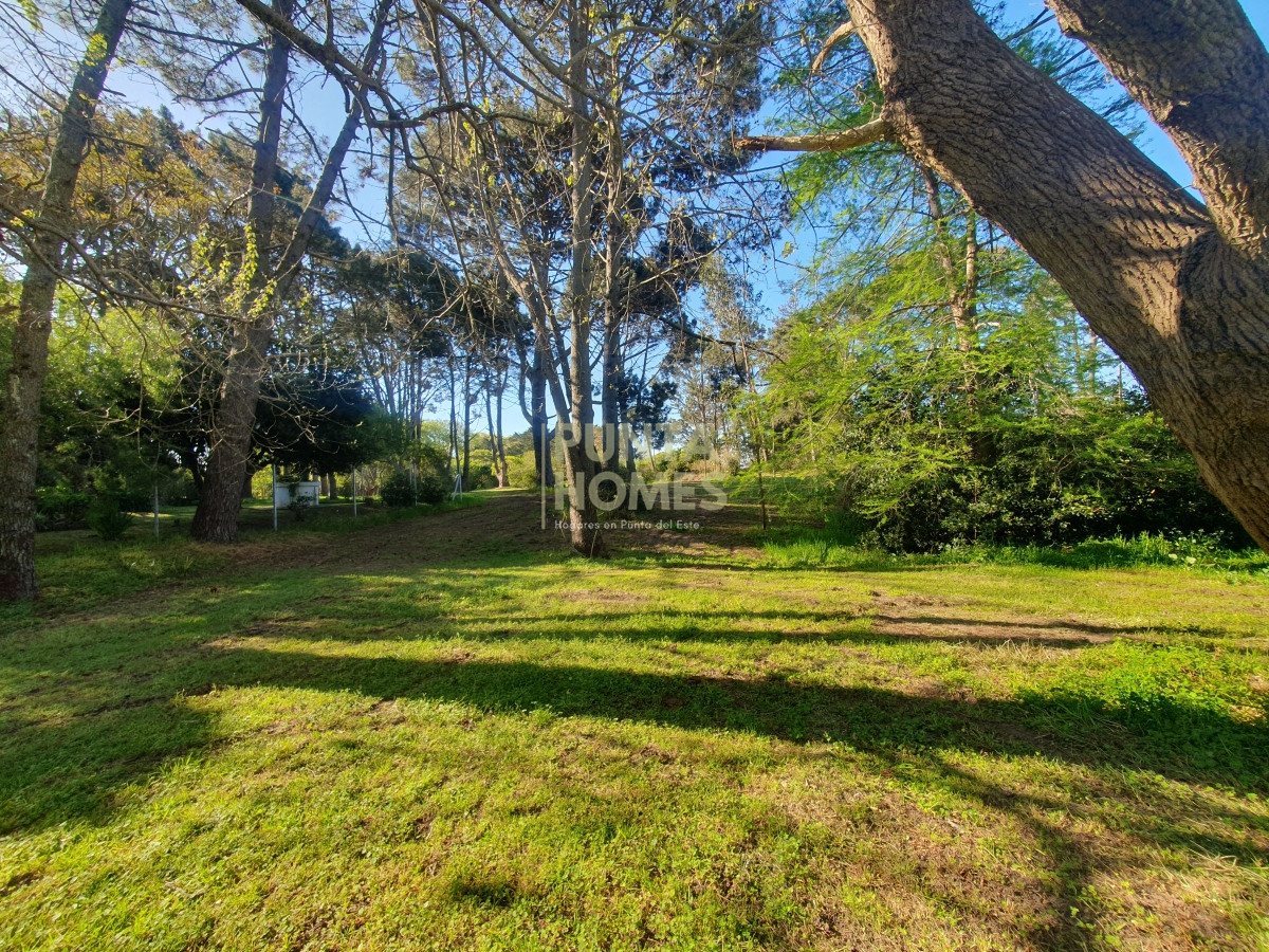 Terreno ID.3789 - Venta de Terreno de 2282 m2 en Avenida Pedragosa Sierra. Punta del Este.