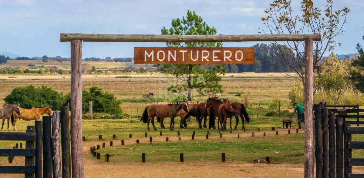 Terreno ID.3959 - Venta de Terreno 5000 m2 en la Barra, El Quijote, Punta del Este.