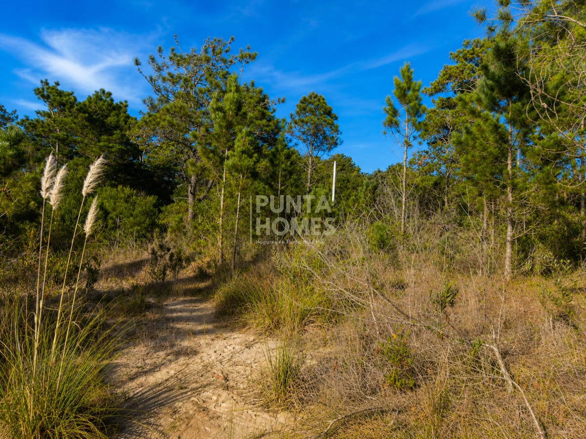 Terreno ID.3955 - Venta de terrenos en Santa Isabel de La Pedrera, Rocha.