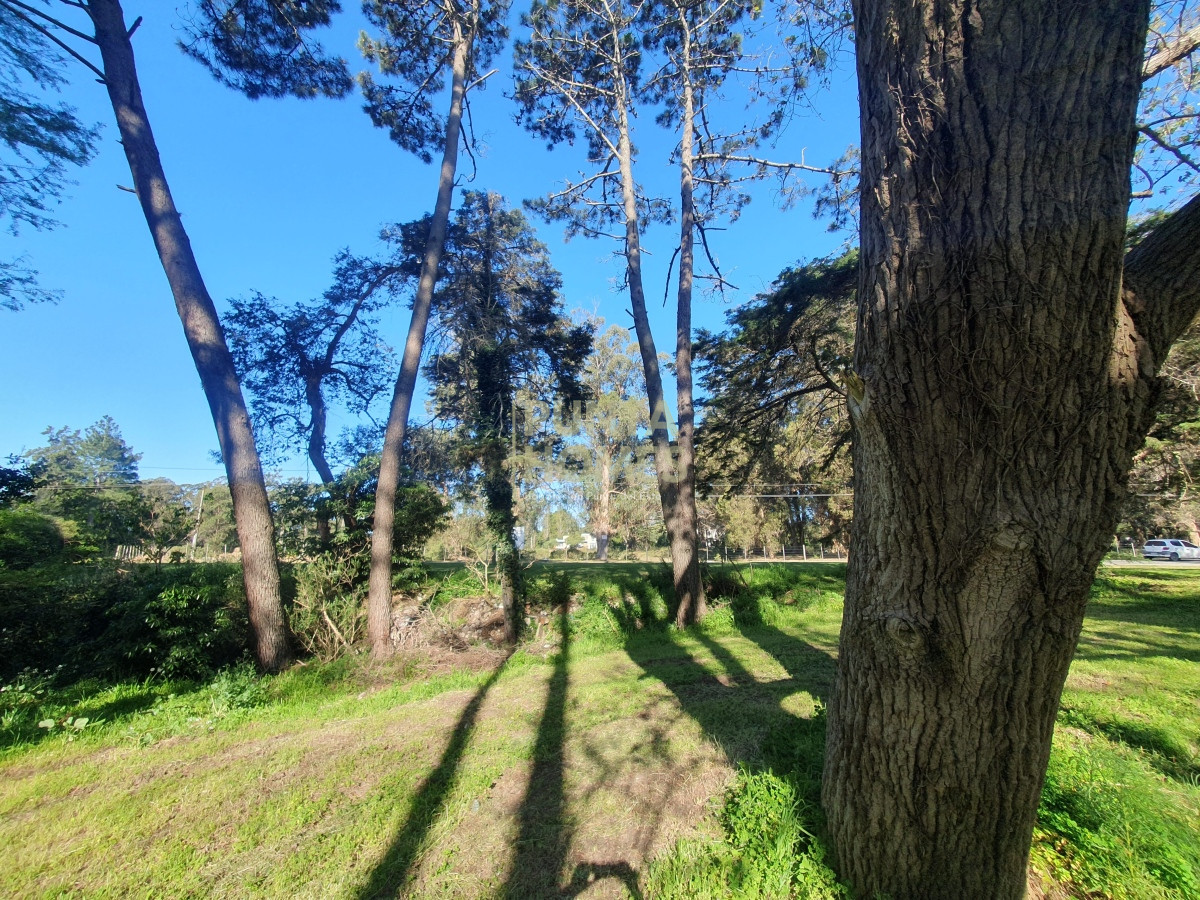 Terreno ID.3789 - Venta de Terreno de 2282 m2 en Avenida Pedragosa Sierra. Punta del Este.