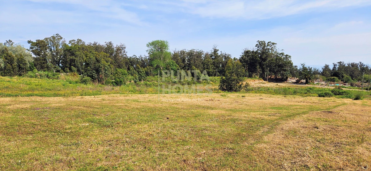 Terreno ID.1802 - Venta de Terreno de 1368 m2 frente al Club de Golf de Punta del Este.