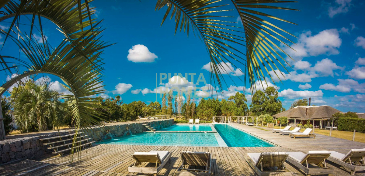 Terreno ID.3959 - Venta de Terreno 5000 m2 en la Barra, El Quijote, Punta del Este.
