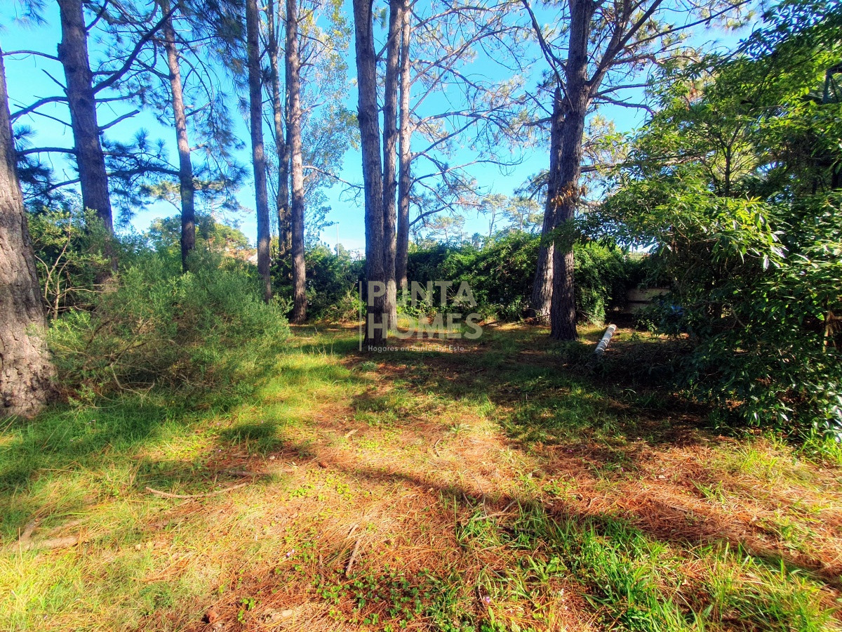 Terreno ID.1687 - Venta de Terreno de 6100 m2 con mejoras en Maldonado.