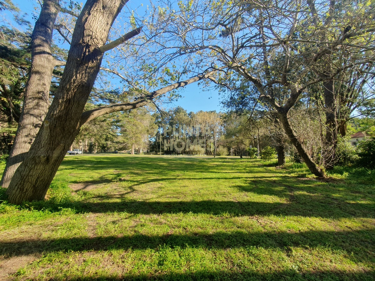 Terreno ID.3789 - Venta de Terreno de 2282 m2 en Avenida Pedragosa Sierra. Punta del Este.