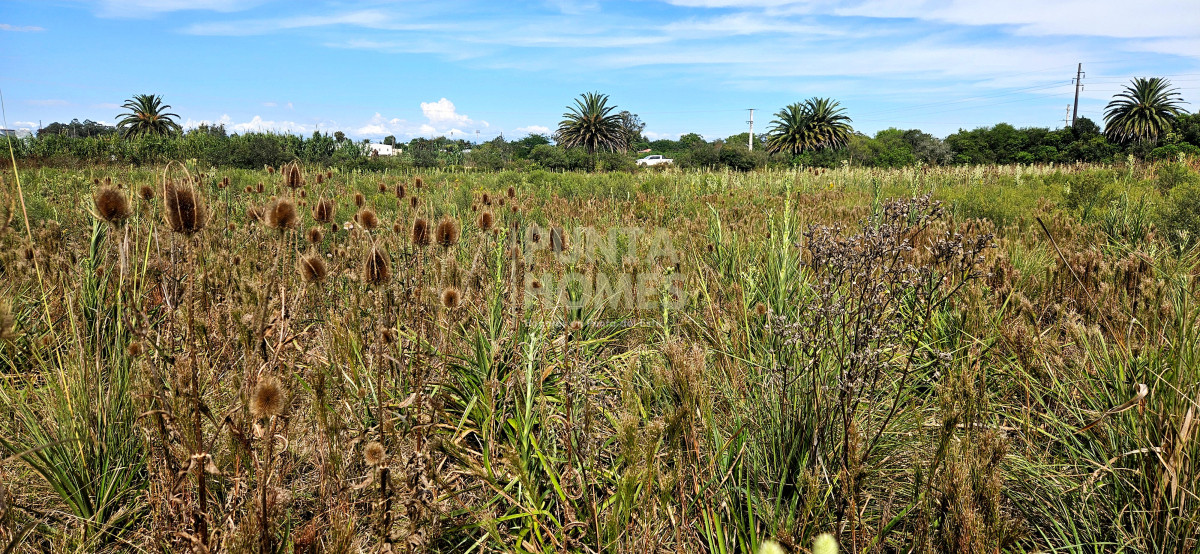 Terreno ID.3823 - Terreno en Venta en Rocha  Ubicación Estratégica en Ruta 9