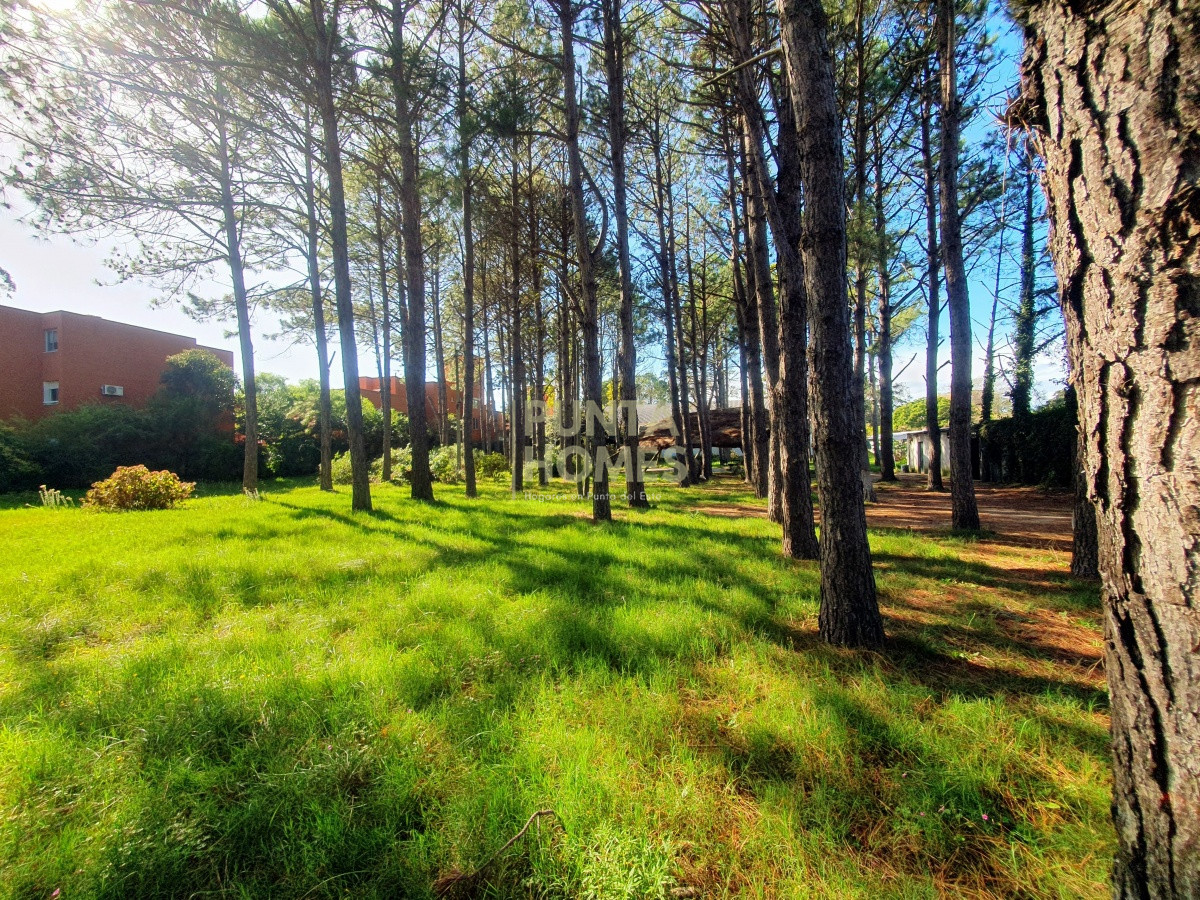 Terreno ID.1687 - Venta de Terreno de 6100 m2 con mejoras en Maldonado.
