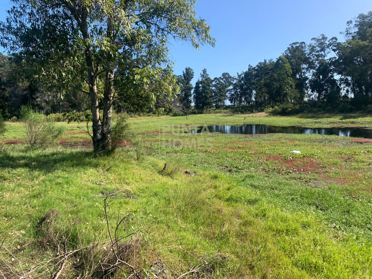 Terreno ID.3840 - Venta terrenos Eden Rock, pegado cancha de polo y laguna