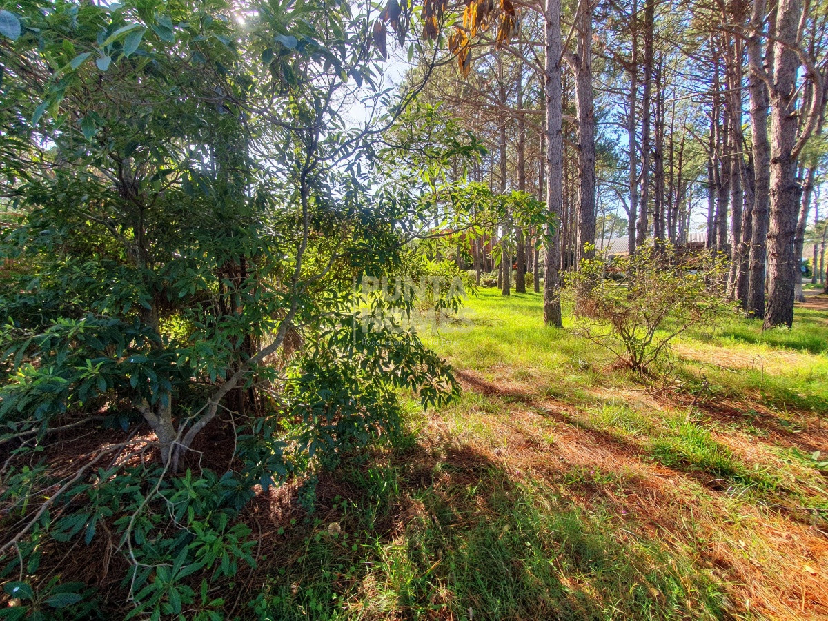 Terreno ID.1687 - Venta de Terreno de 6100 m2 con mejoras en Maldonado.