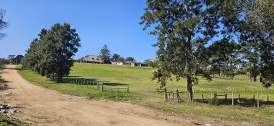 Venta de 2 terrenos en Barrio Golf de Punta del Este.