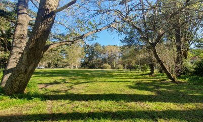 Venta de Terreno de 2282 m2 en Avenida Pedragosa Sierra. Punta del Este.