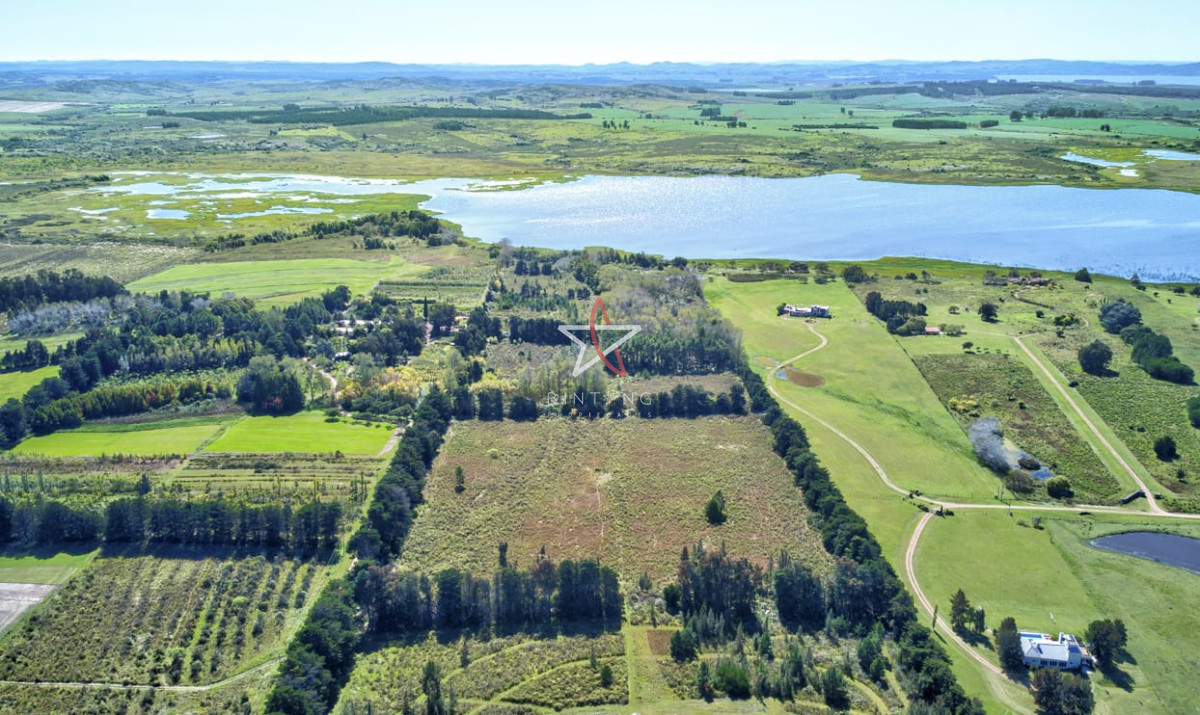 Laguna del Sauce - GoPunta - Portal Inmobiliario de Punta del Este - Maldonado