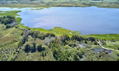 Venta Chacra 17 hectareas en Laguna del Sauce, Punta del Este