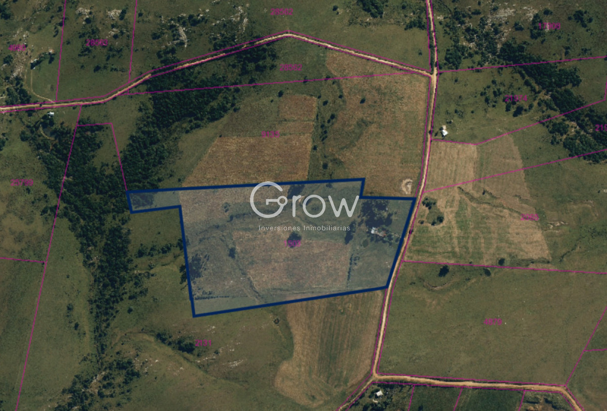 Chacra ID.3837 - Chacra de 11 hectáreas sobre Ruta 39, Maldonado
