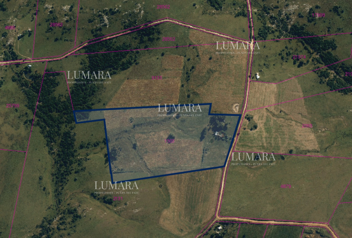 Chacra ID.3407 - Chacra de 11 hectáreas sobre Ruta 39, Maldonado