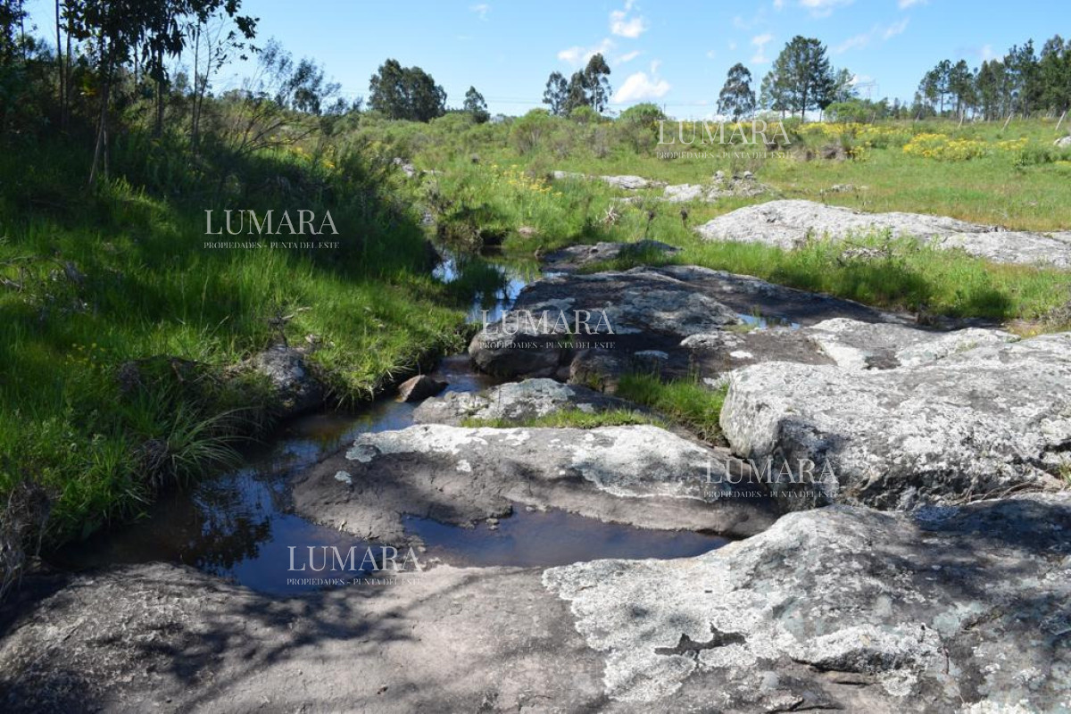 Chacra ID.3406 - Chacra de 6has proxima a pueblo Eden