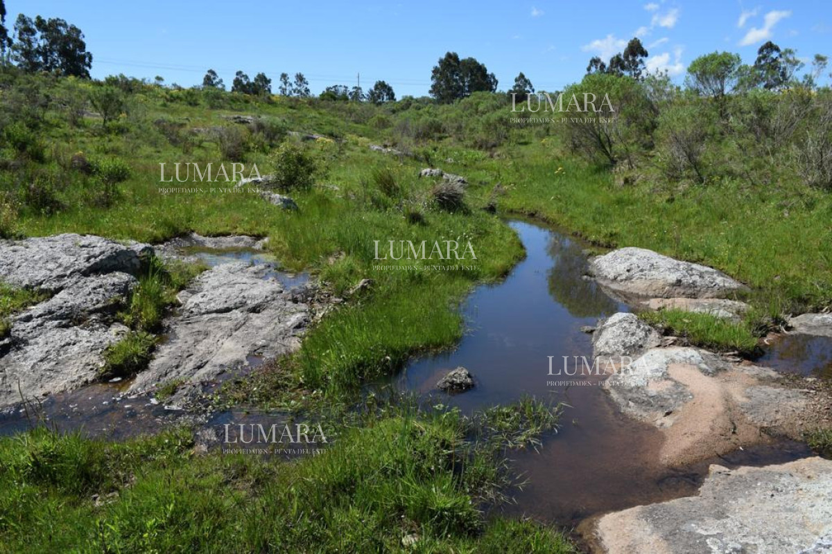 Chacra ID.3406 - Chacra de 6has proxima a pueblo Eden
