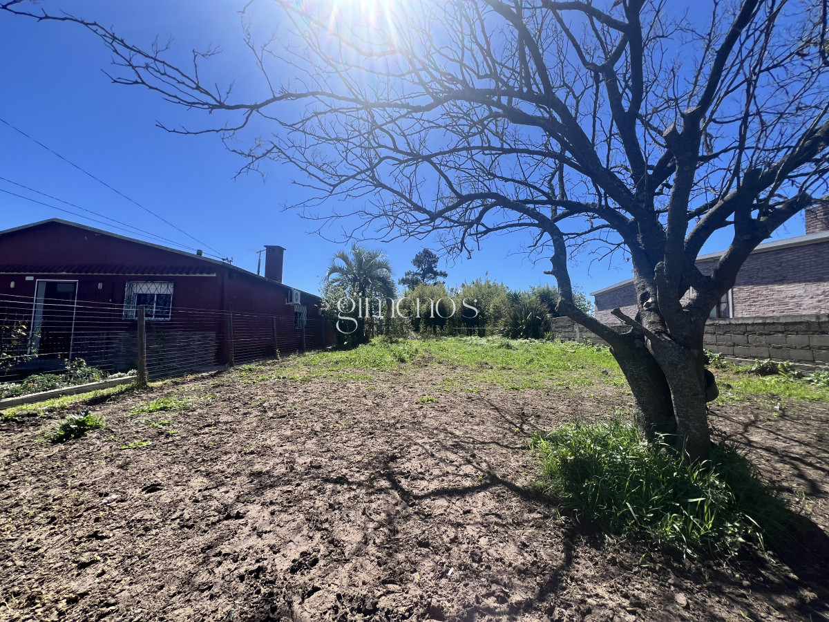 Terreno ID.698 - Terreno en Venta en San Carlos - Maldonado