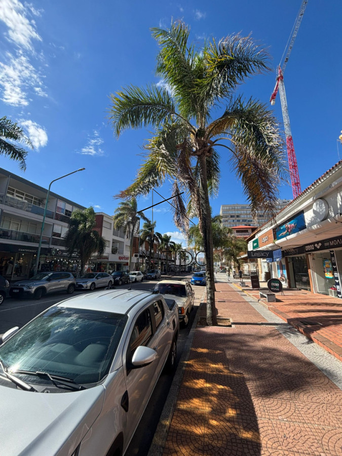 Apartamento ID.606 - Apto tipo duplex en venta 