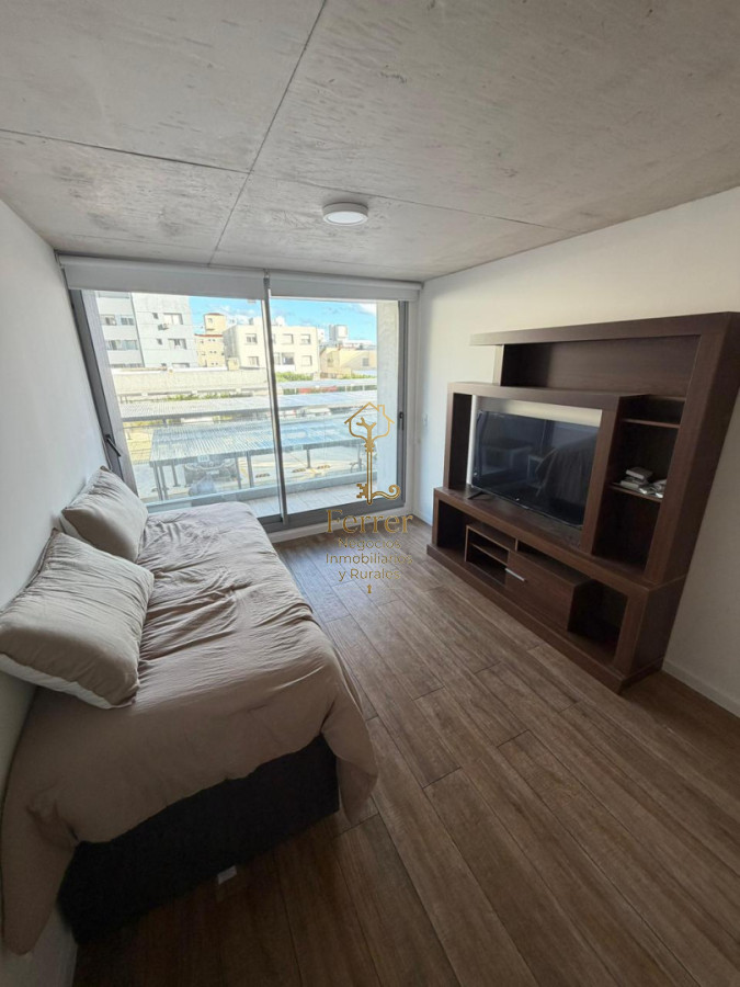 Apartamento ID.771 - Alquiler Invernal en Peninsula de 1 dormitorio 