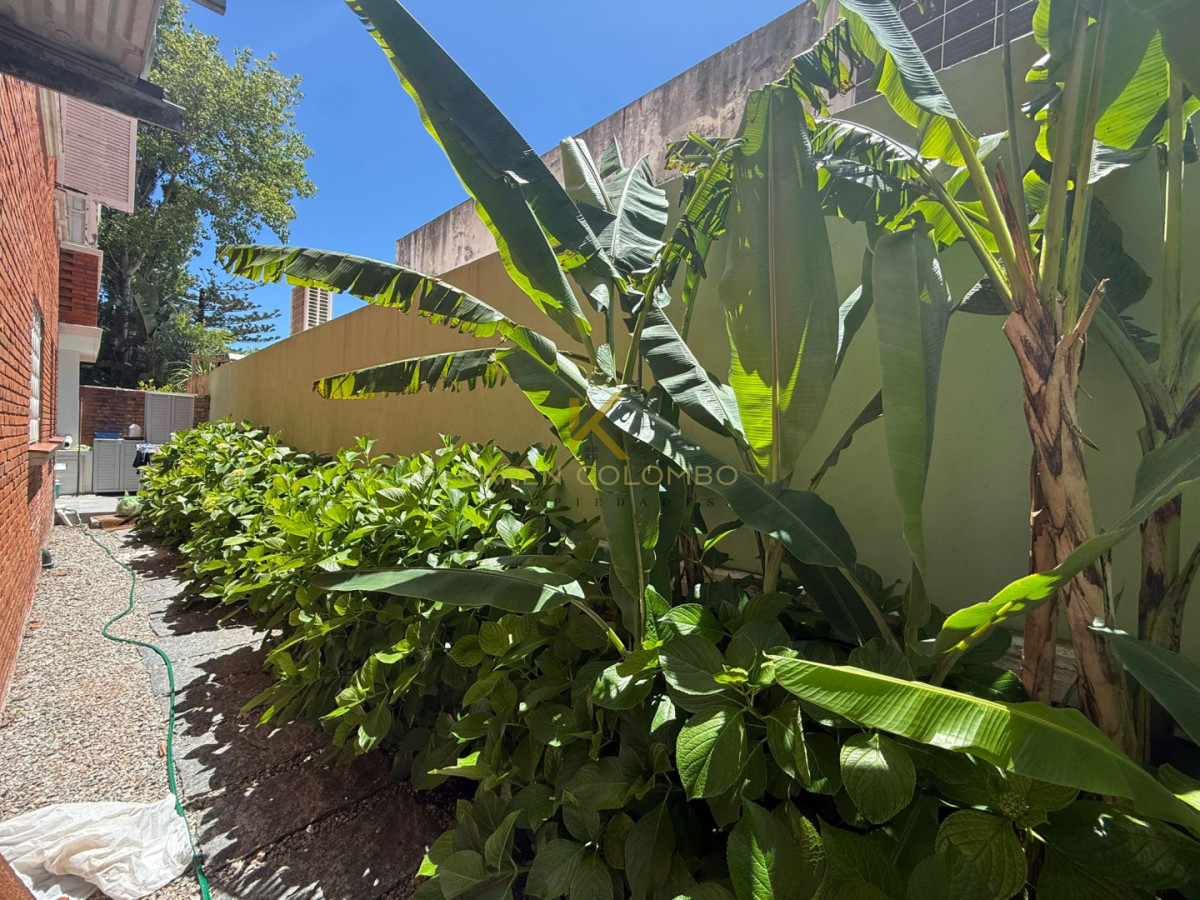 Apartamento ID.21096813 - Apartamento estilo casa en Calle 20