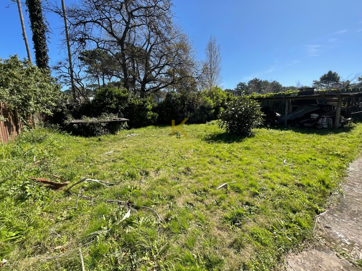 Casa ID.21094869 - Alquier De Casa Para Comercio