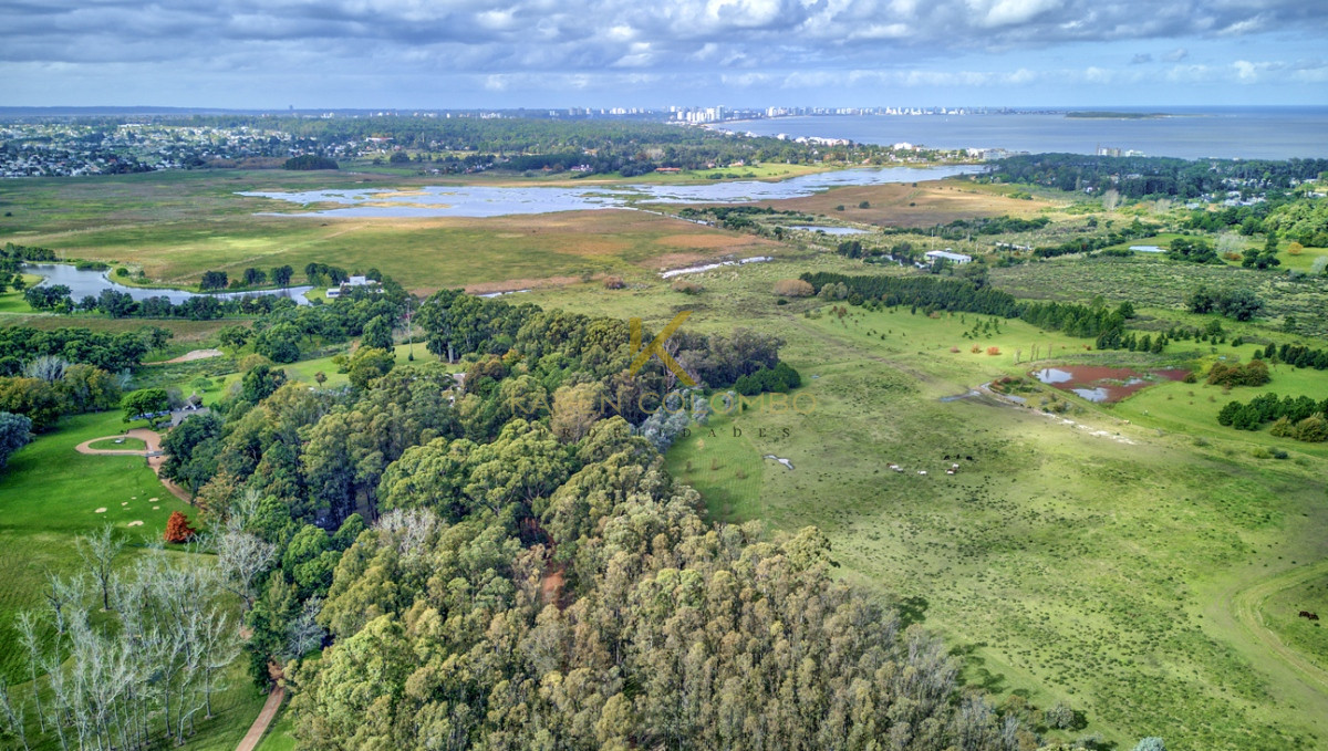 Chacra ID.21094569 - Chacra en venta, zona Laguna del Diario, Punta del Este