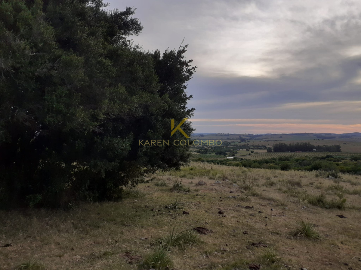 Chacra ID.21094409 - oportunidad chacras en maldonado ruta 39 km 38
