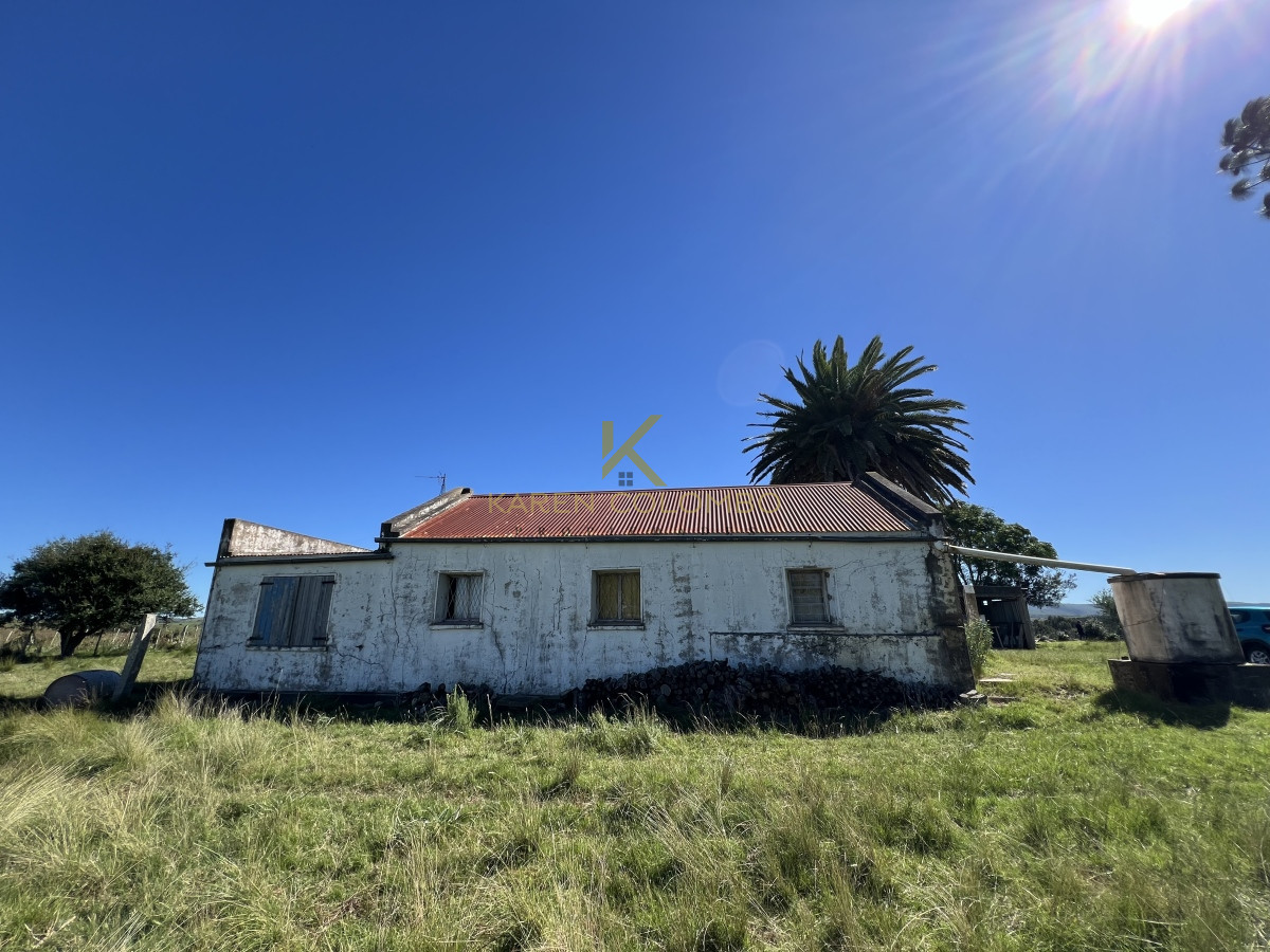 Chacra ID.21094509 - CHACRA DE 70 HAS EN 6TA. SECC. JUD. JOSÉ IGNACIO