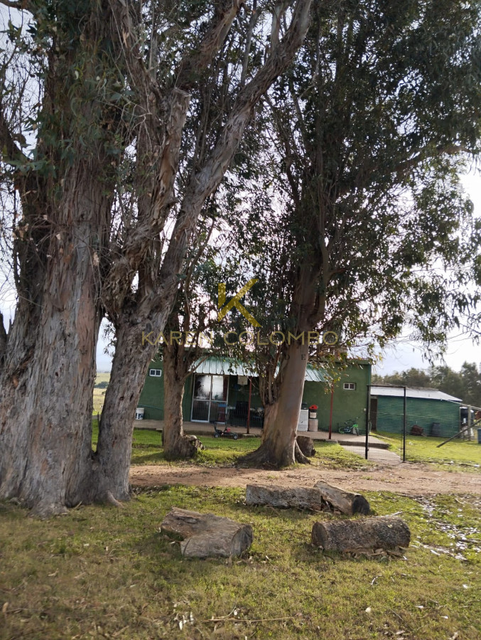 Chacra ID.21096674 - Chacra en venta en Ruta 39