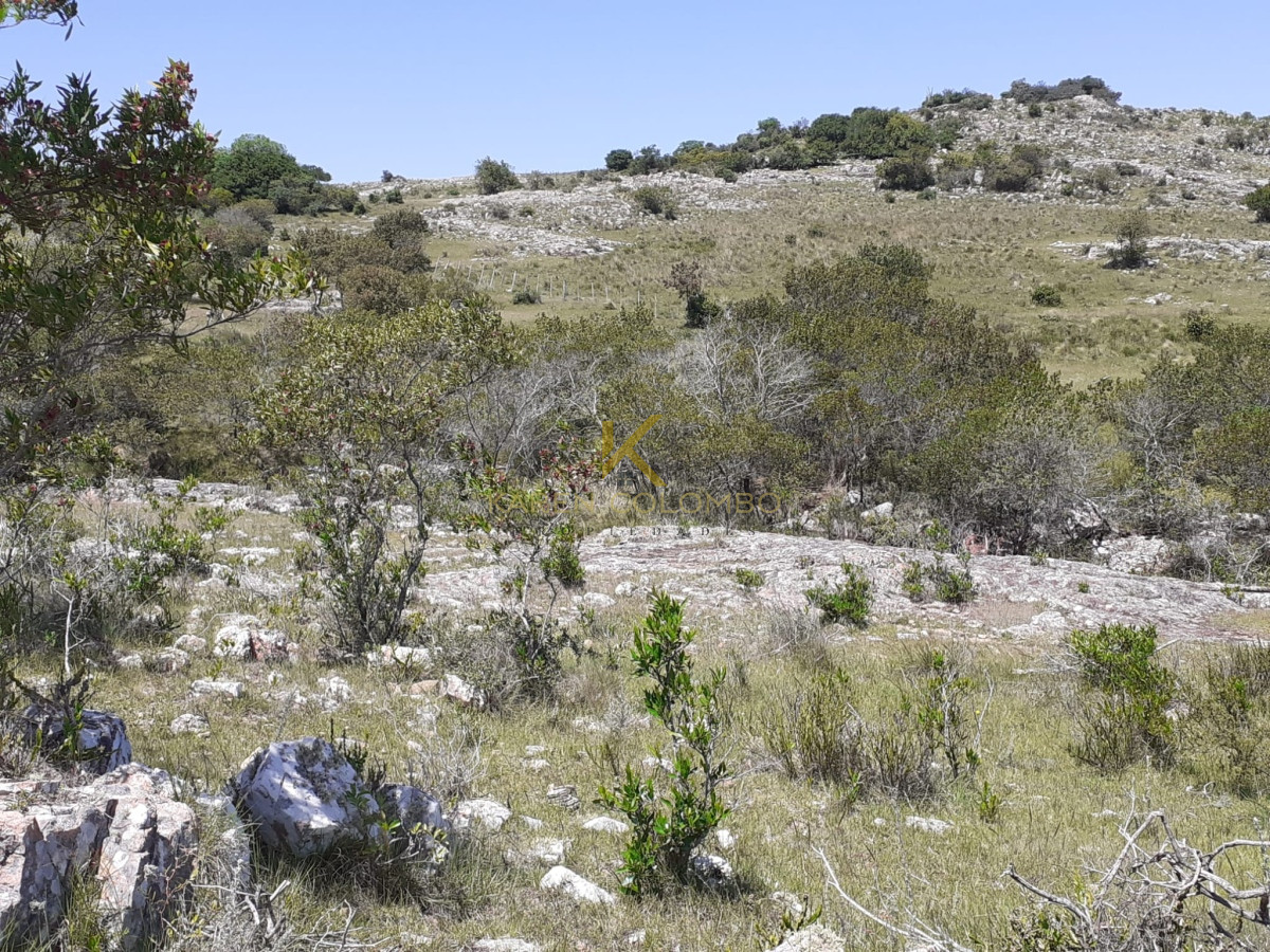 Chacra ID.21094409 - oportunidad chacras en maldonado ruta 39 km 38