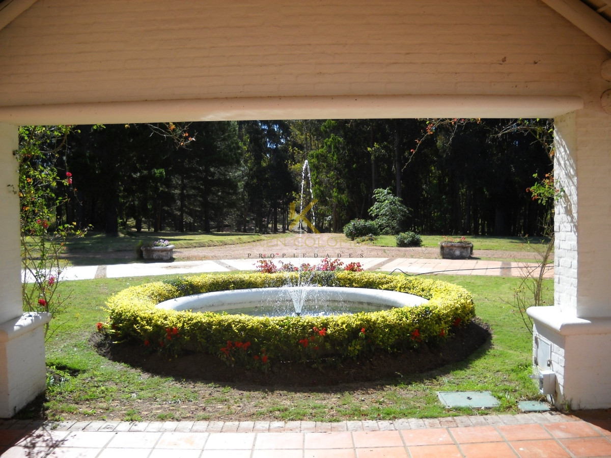 Chacra ID.21094569 - Chacra en venta, zona Laguna del Diario, Punta del Este