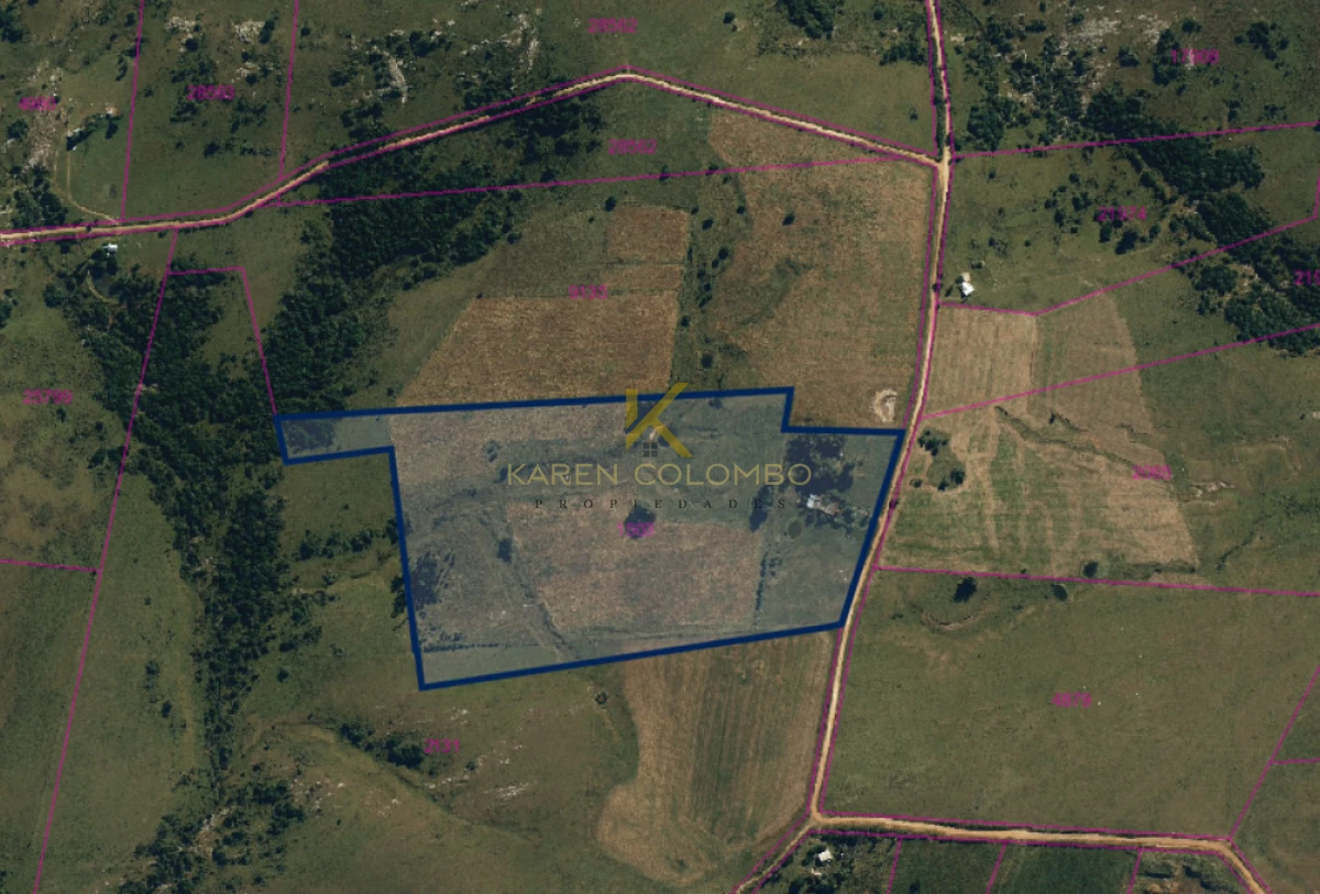 Chacra ID.21097068 - Chacra de 11 hectáreas sobre Ruta 39, Maldonado