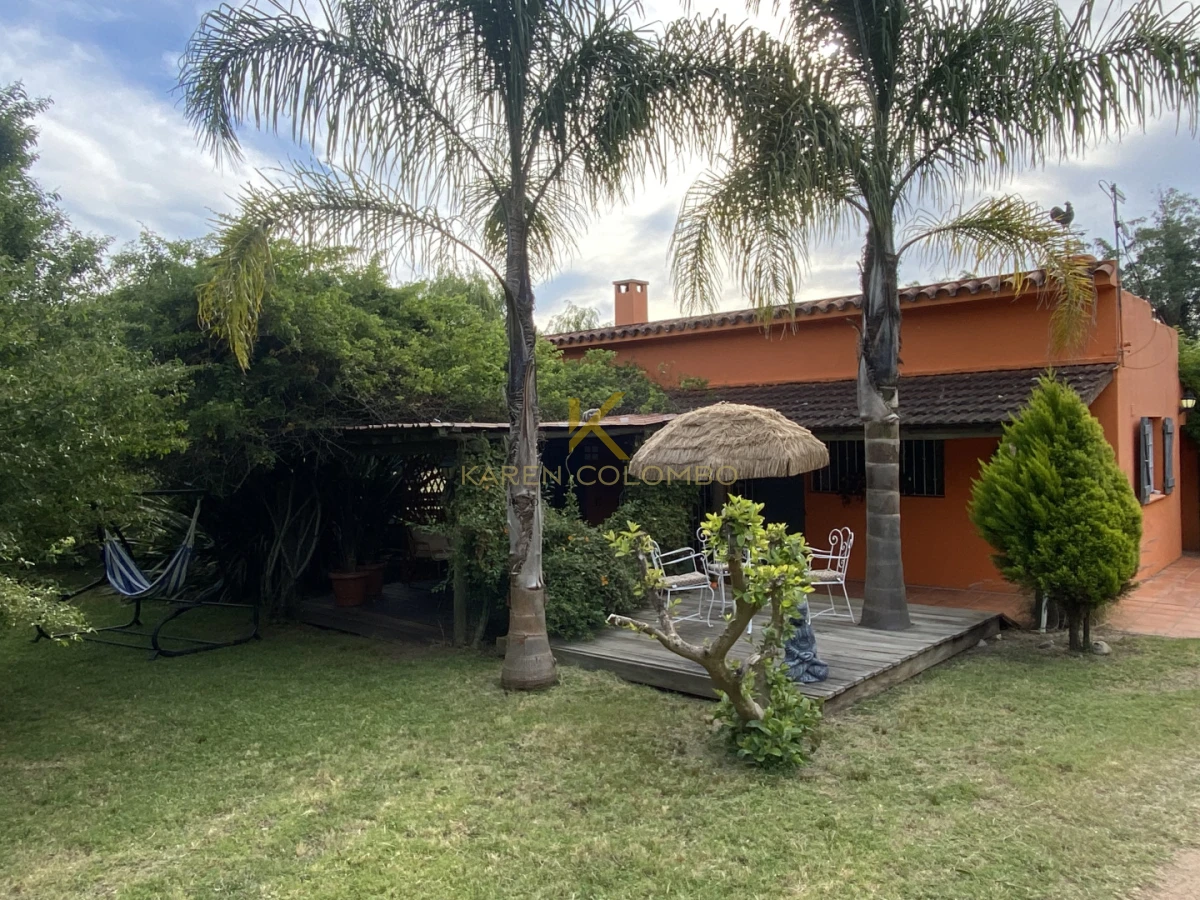 Chacra ID.21097068 - Chacra de 11 hectáreas sobre Ruta 39, Maldonado