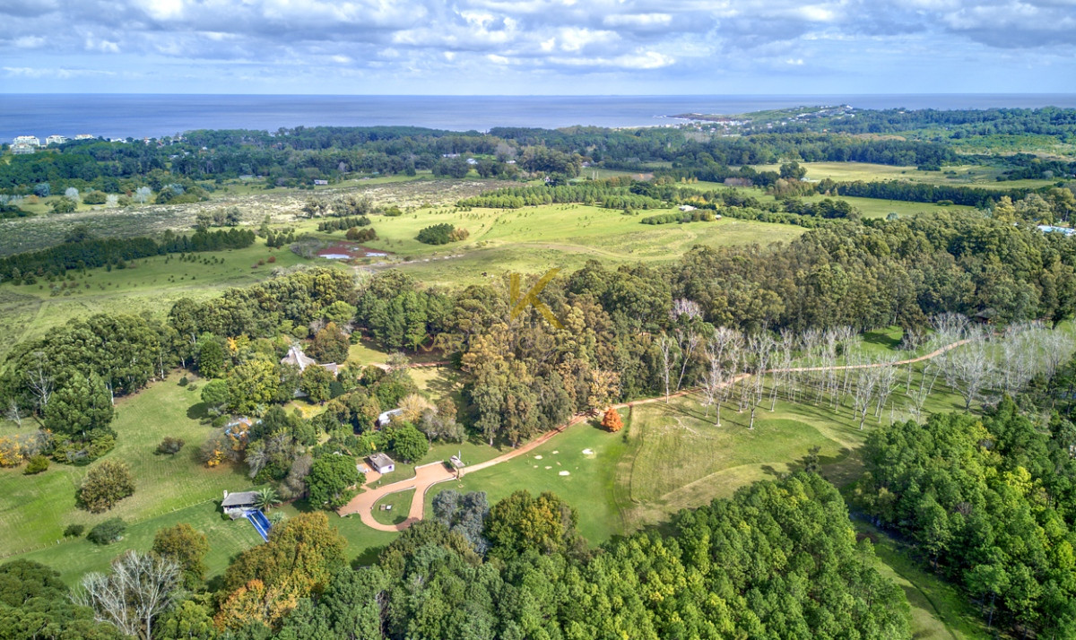 Chacra ID.21094569 - Chacra en venta, zona Laguna del Diario, Punta del Este