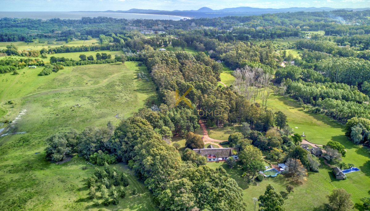 Chacra ID.21094569 - Chacra en venta, zona Laguna del Diario, Punta del Este
